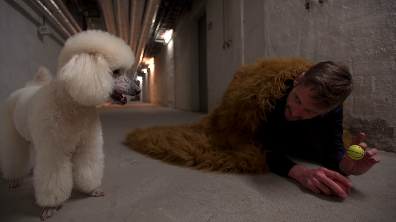 Die Opernchallenge: #1 &Uuml;berwinde den H&ouml;llenhund
