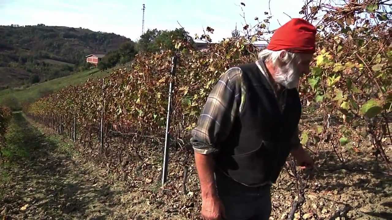 La Terra Tradita | Ottavio Rube