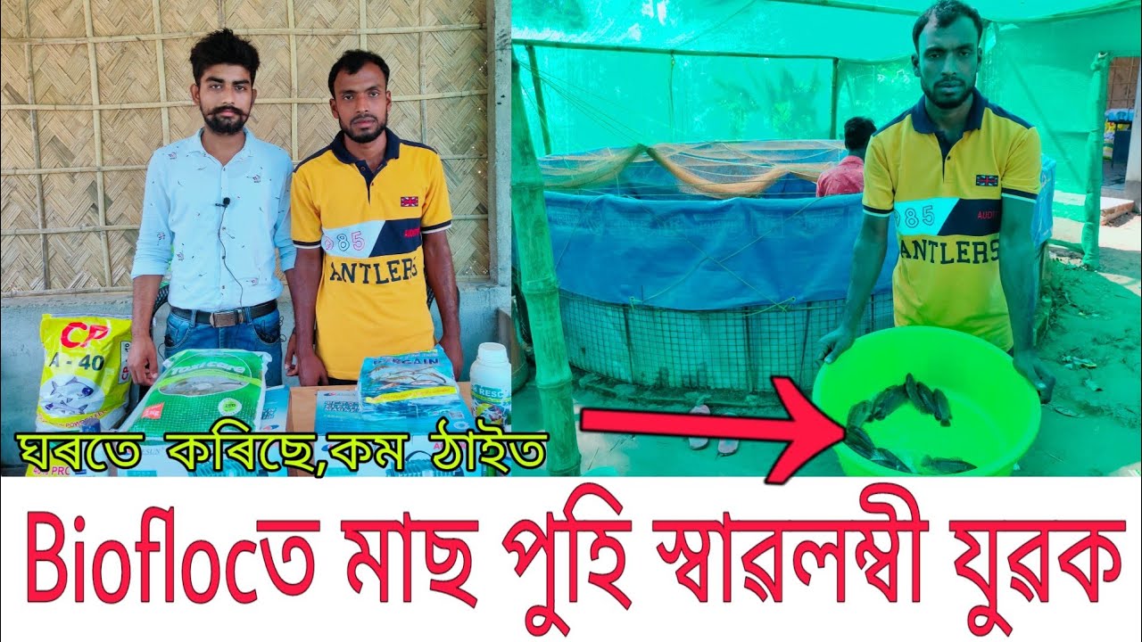 কাৱৈ মাছ পালনেৰে স্বাৱলম্বীতাৰ পথ গঢ়িছে এইজন যুৱকে/ইমান টকা উপাৰ্জন কৰি আছে ? Biofloc fish farming