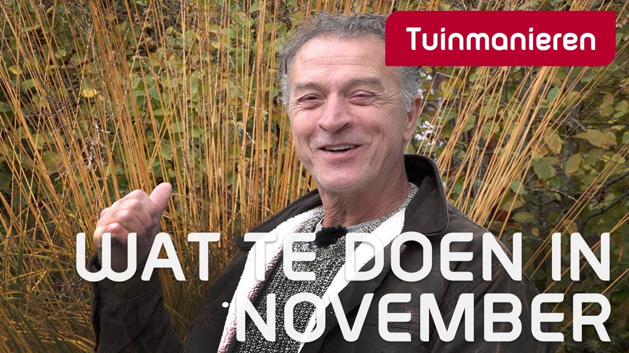 Wat te doen in november in de tuin | Tuinmanieren