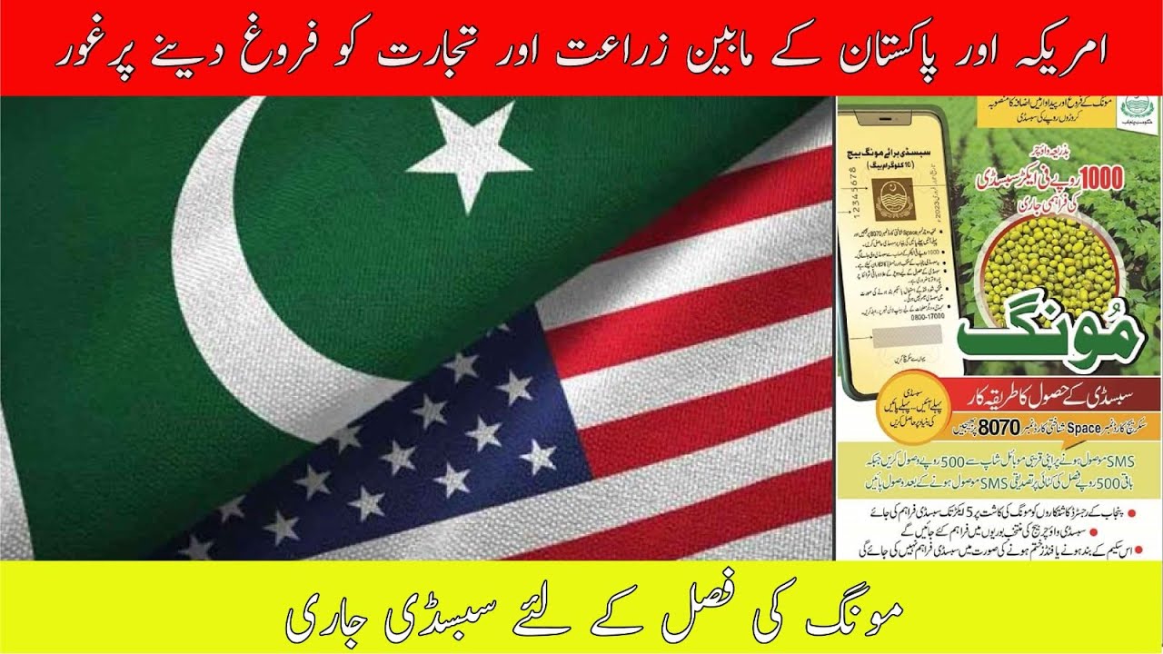 Kissan Madadgar Weekly Bulletin 24 Feb - 03 Mar | Moong Ki Fasal Kai Liye Subsidy Jaari