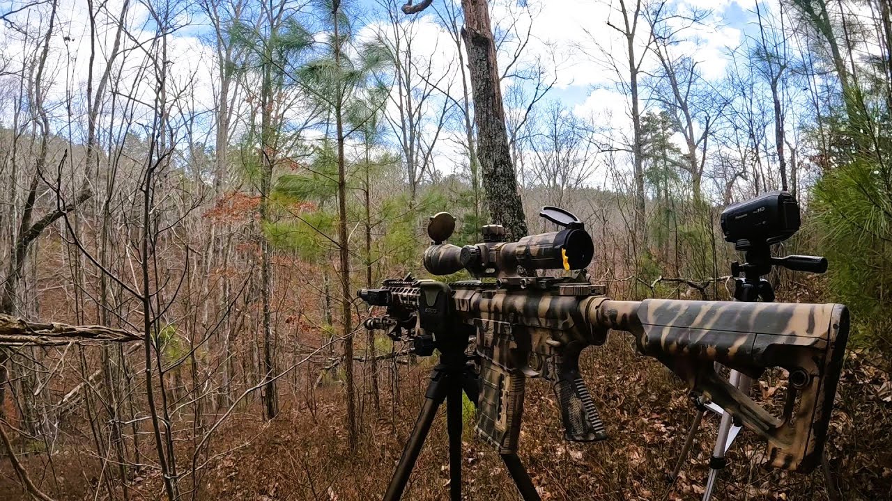 Hunting Public Land in Georgia!
