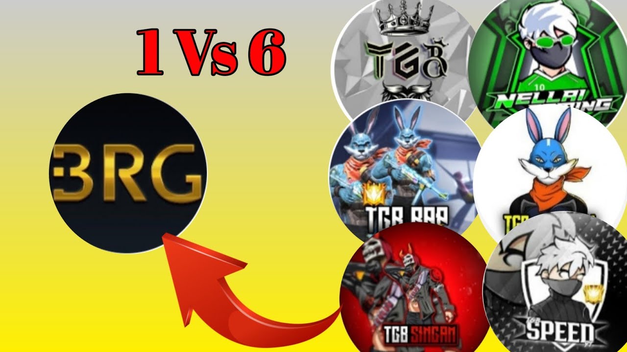 என்ன வார்த்தை சோல்லிட்டீங்க Br gamer || Tgb Singam Reply || Tgb Siruthai