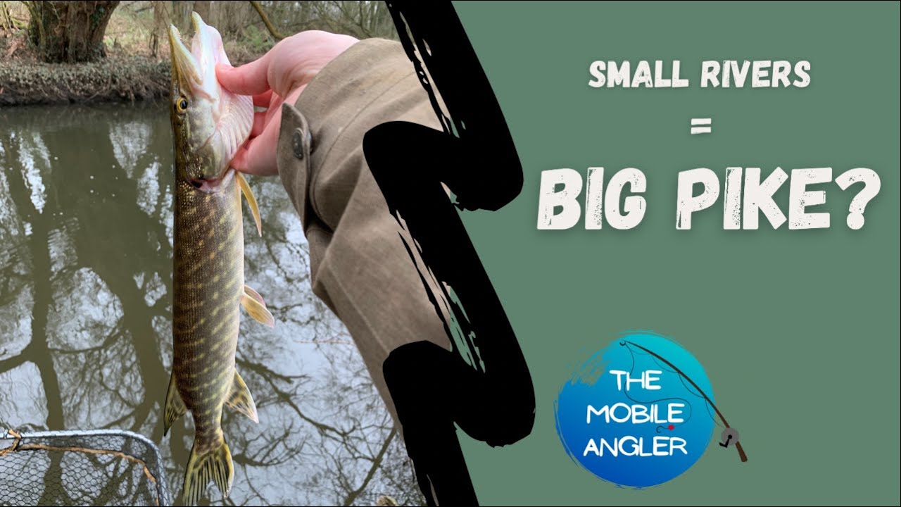 small rivers = BIG PIKE? - River Blackwater