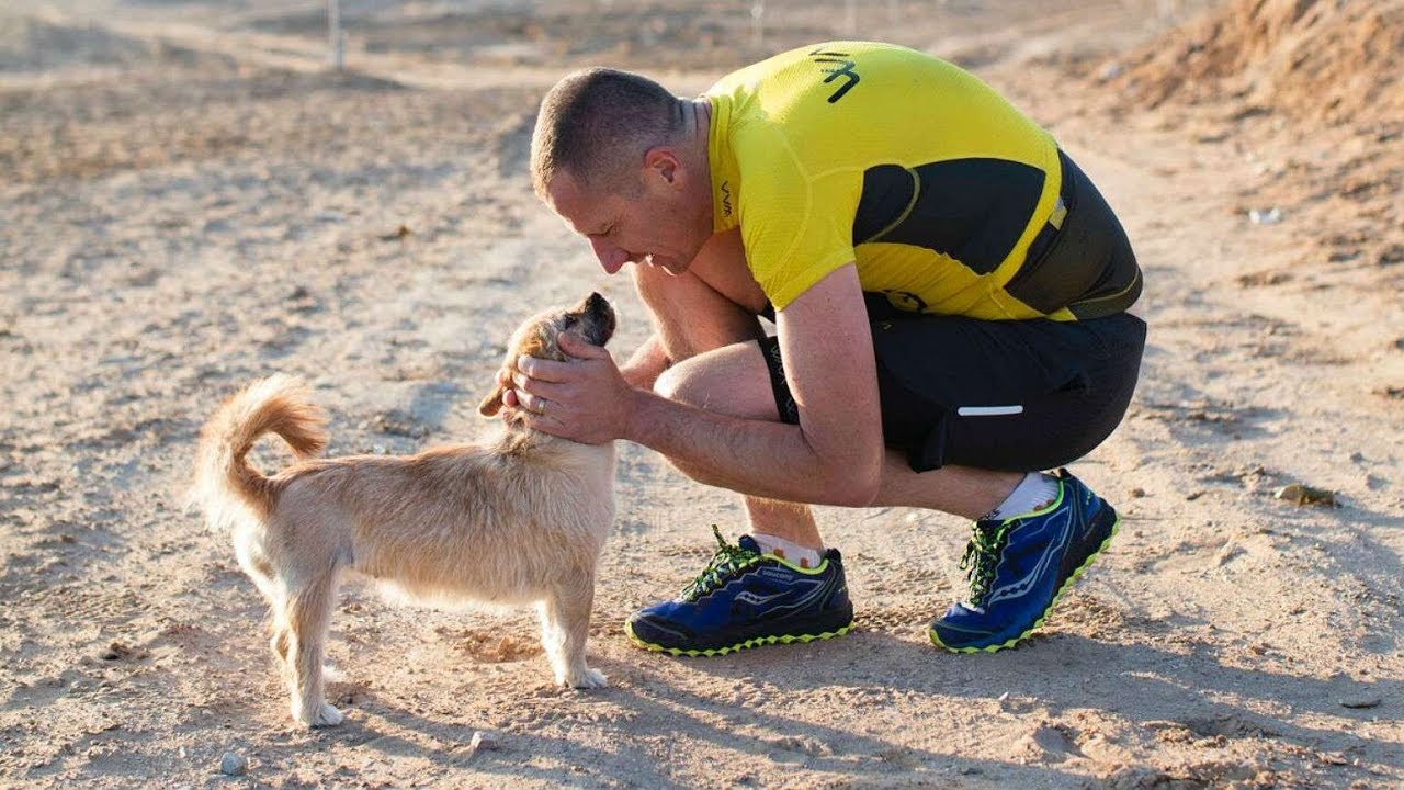Ultramarathon Runner Dion Leonard On His New Book, 'Finding Gobi'