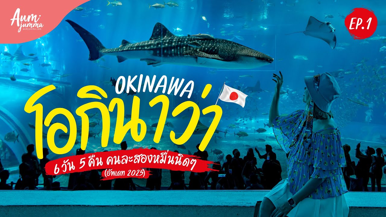 เที่ยวญี่ปุ่น 🇯🇵 โอกินาว่า 沖縄県 6 วัน 5 คืน ชมฉลามวาฬ กินร้านเด็ด ถ่ายรูปคู่หินรูปหัวใจ (Update 2025)