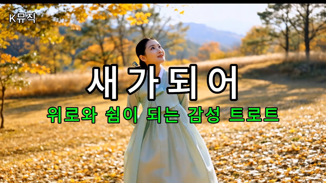 감성 트로트ㅣ새가되어ㅣ#트로트 #케이팝 #K-pop #노래 #가요 #대중가요 #한국음악 #노래#감성트로트 #trot