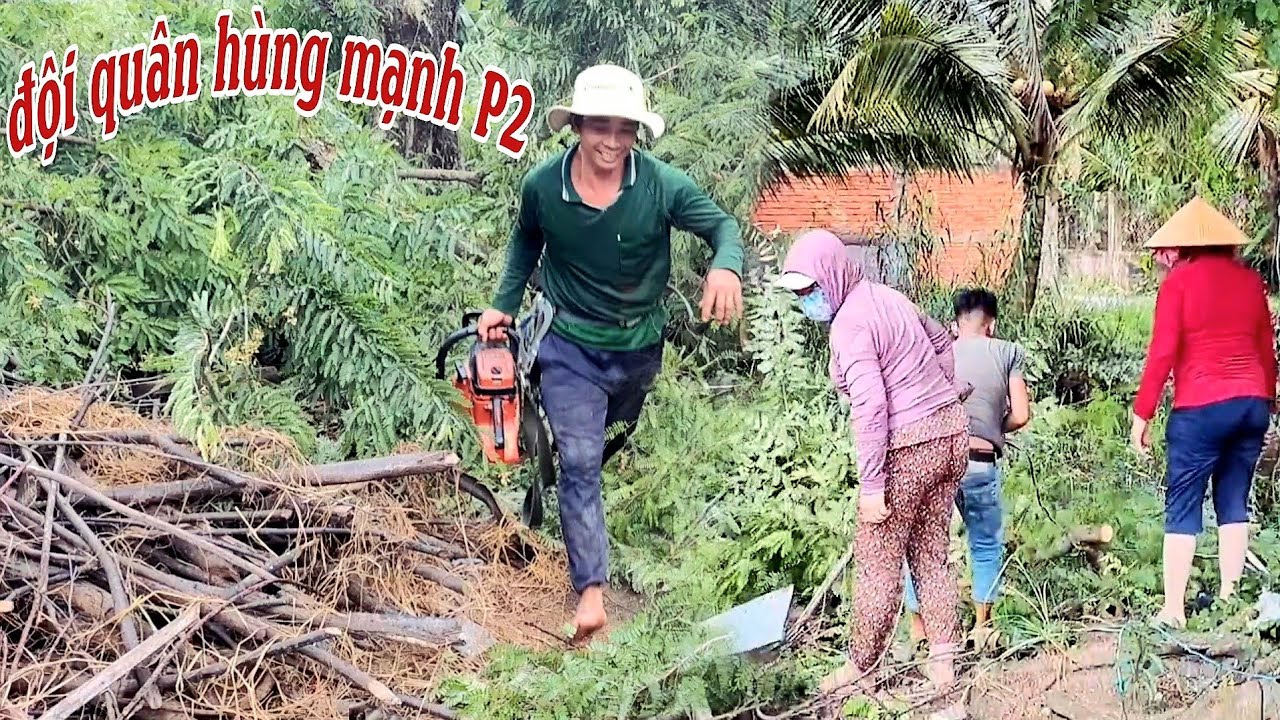 Xử lý cây me 40 năm trước nhà @Đụng Gì Quay Đó YTB
