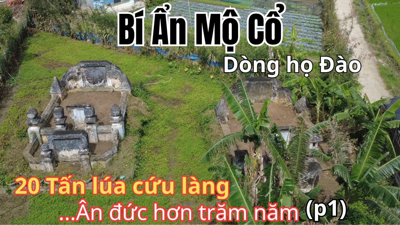 Hai Ngôi Mộ Cổ Dòng Họ Đào Và 20 Tấn Lúa Cứu Dân Làng Thời Đói Kém
