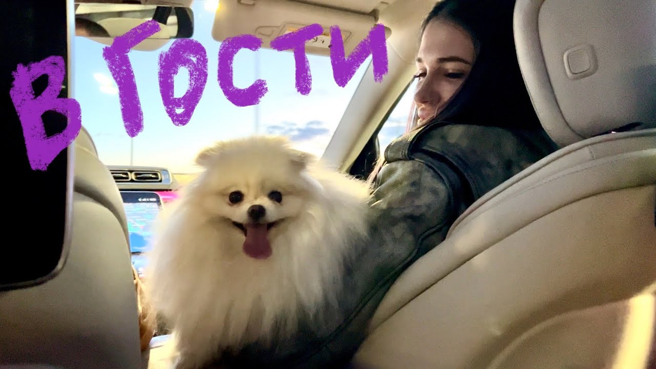 ЕДЕМ В ГОСТИ к МАШЕ, милая собачка 😍