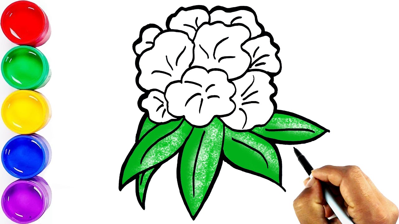 How to Draw a National Flower Laligurans || Draw a  Rhododendron || नेपालको राष्ट्रीय फुल लालीगुराँस