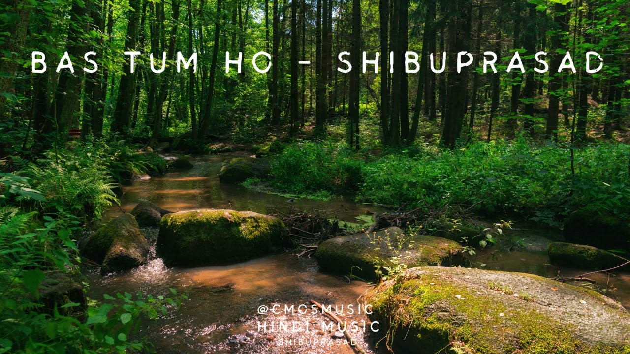 Bas Tum Ho | Shibuprasad beats | Hindi Song |  Music