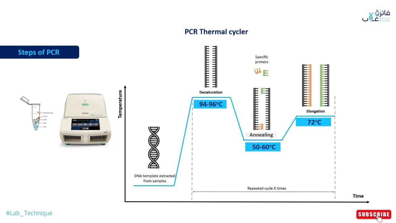 PCR thermal cycler I PCR program I PCR steps