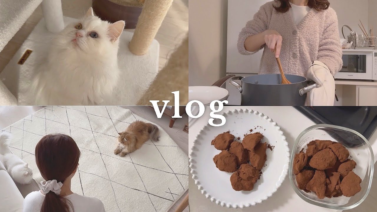 食べたいものを自炊してお家時間を猫とマイペースに過ごす一人暮らしの日常ルーティンvlog🏠🐈