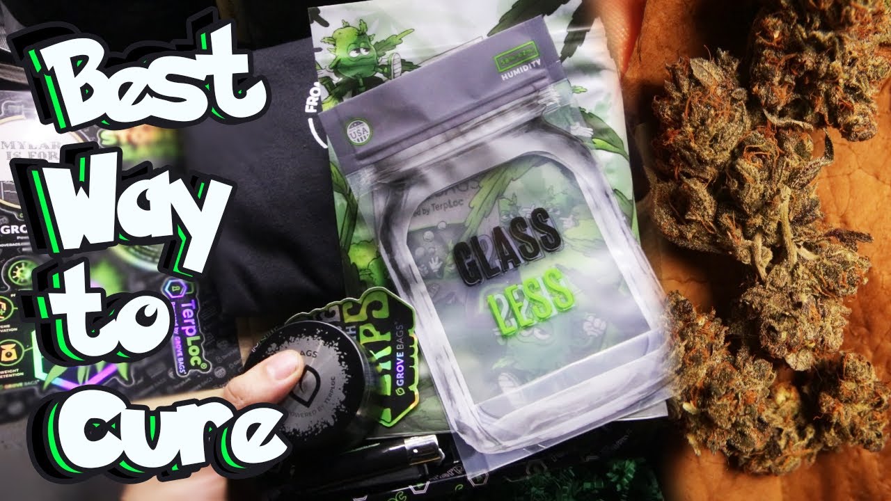 Why the Growmies Cure in Grove Bags - Grow Weed at Home, Easy way to cure TOP SHELF #seedtoharvest