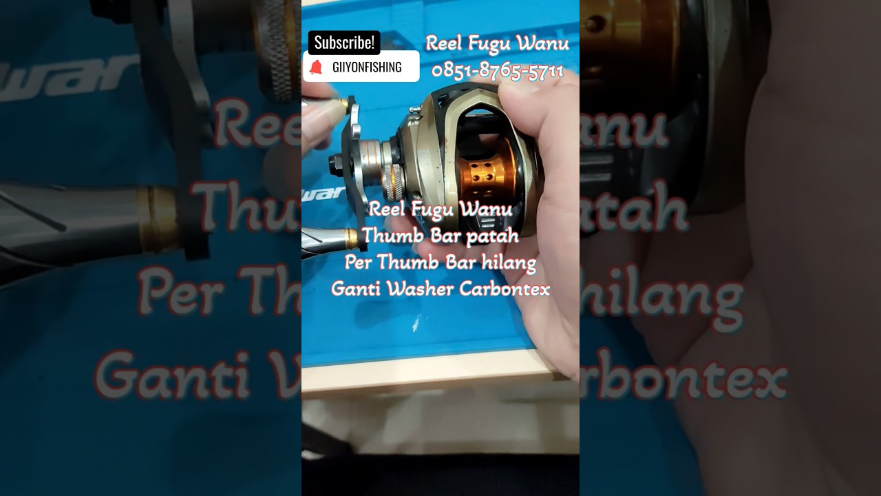 Reel Repair Fugu Wanu Baitcasting 