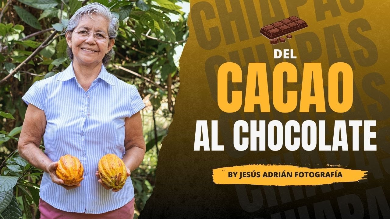 Del Cacao al Chocolate Artesanal 🍫 | Testimonio de Luisa – Sembrando Vida en #chiapas