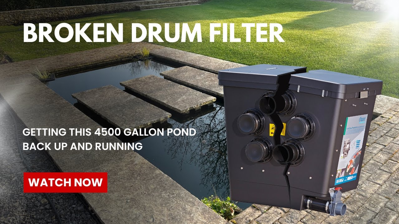 4500 gallon pond with broken drum filter