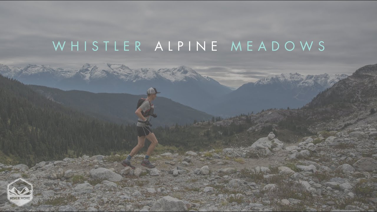 THE 2017 WHISTLER ALPINE MEADOWS 55K // 25K Ultramarathon