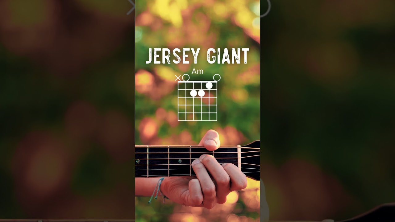 Jersey Giant Tyler Childers Guitar Tutorial // Jersey Giant Guitar Lesson