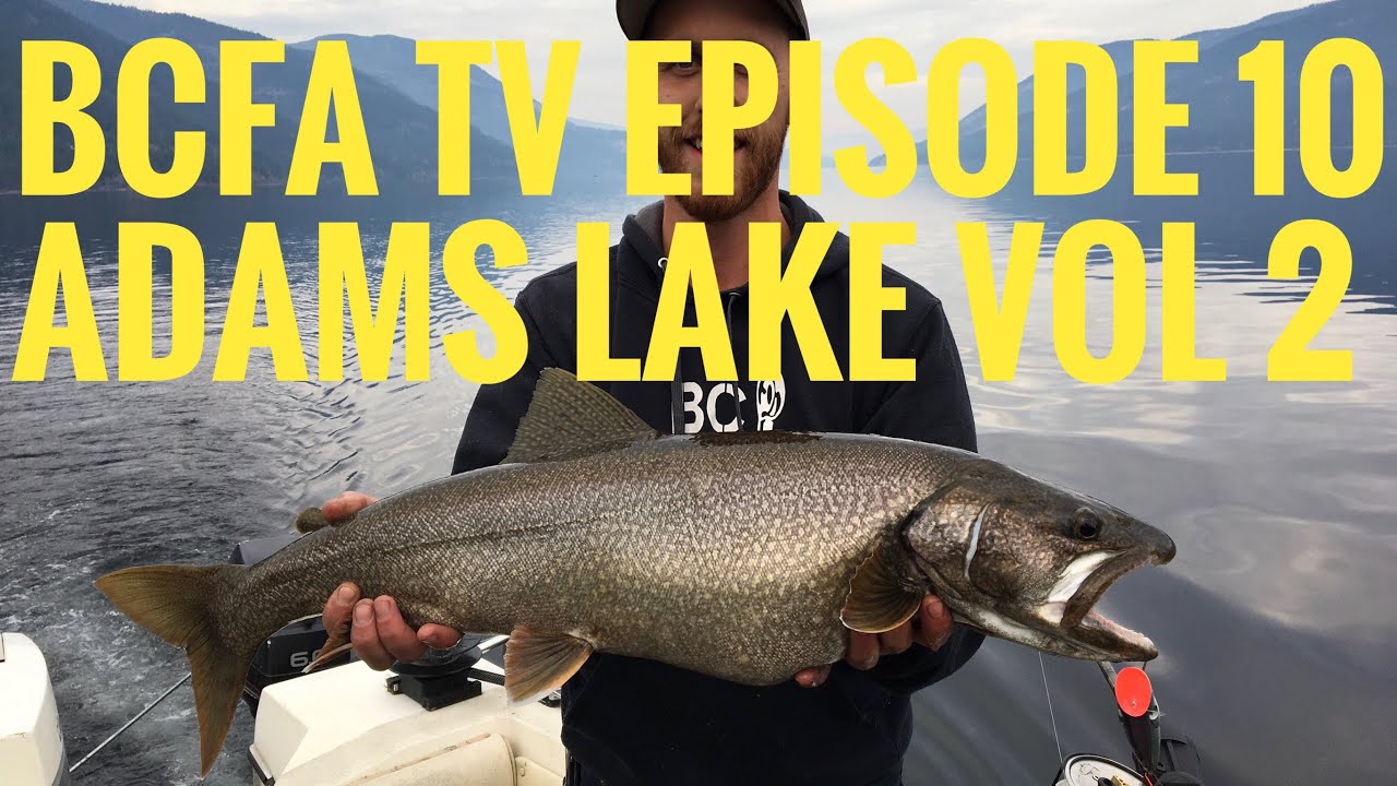 BC Fishing Addicts Episode 10- Adams Lake Fishing Volume Two
