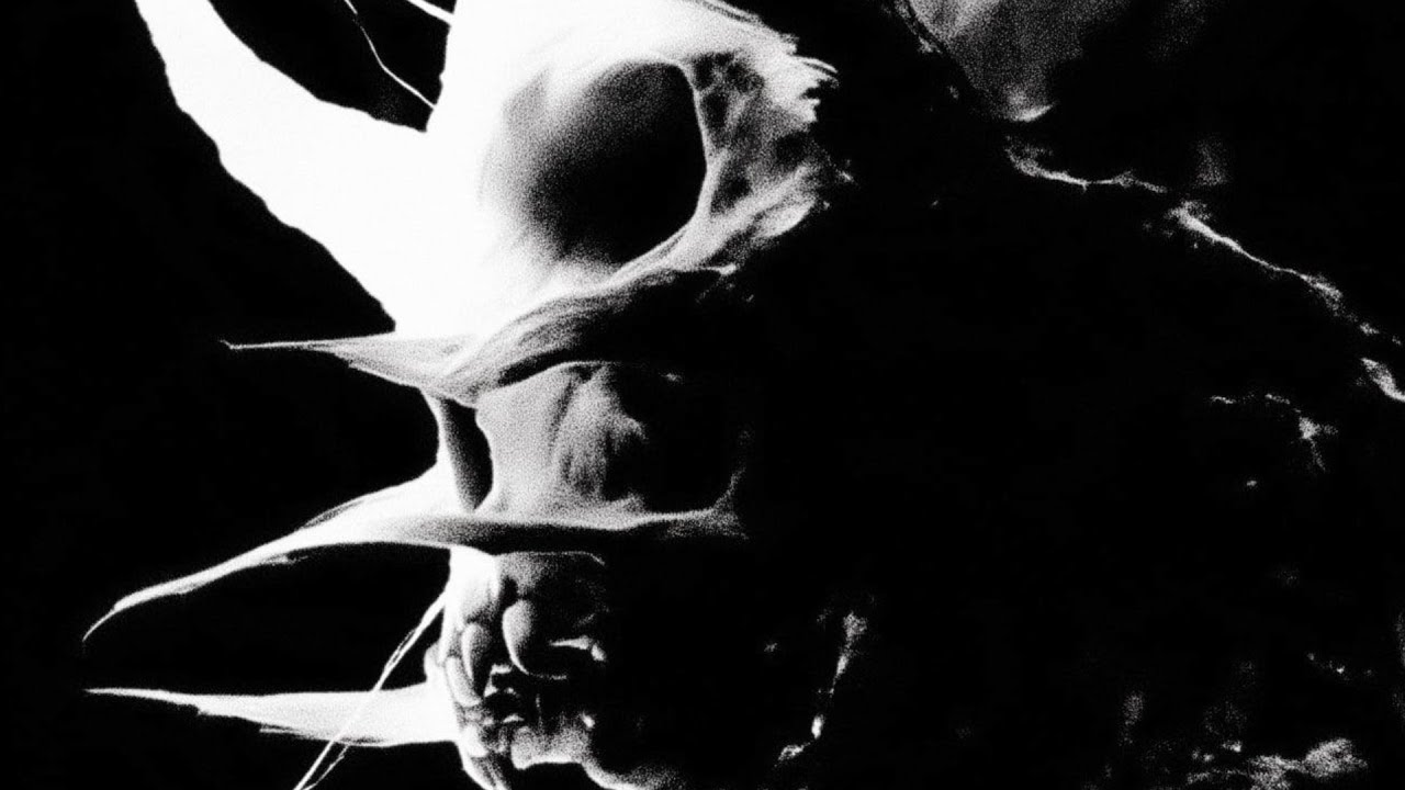 gunbaou - mandragora