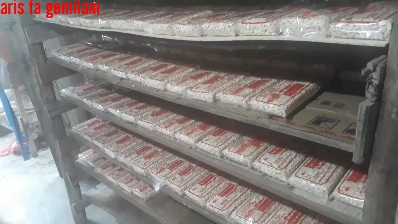 Cara membuat tempe  agar tempenya enak dan tidak masam