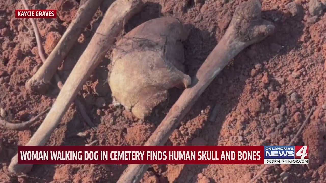 Woman walking dog in cemetery finds human skull and bones
