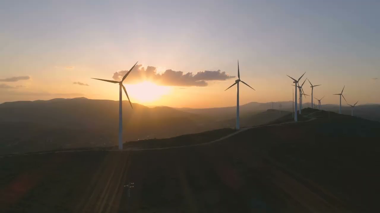 Introducing one of the UK's largest-ever sustainability-focused undergraduate scholarship programmes