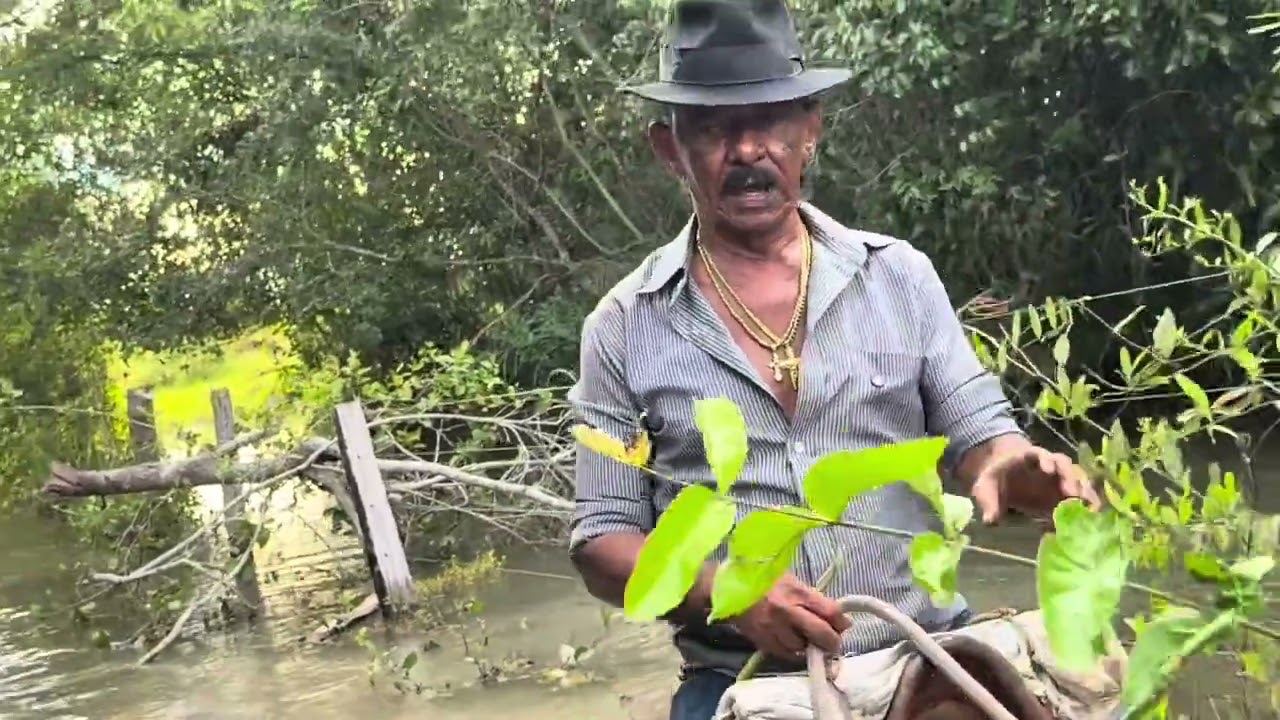 CHARLLES E TIRINGA EM BUSCA DOS SERVOS DE PANTANAL | COMÉDIA SELVAGEM