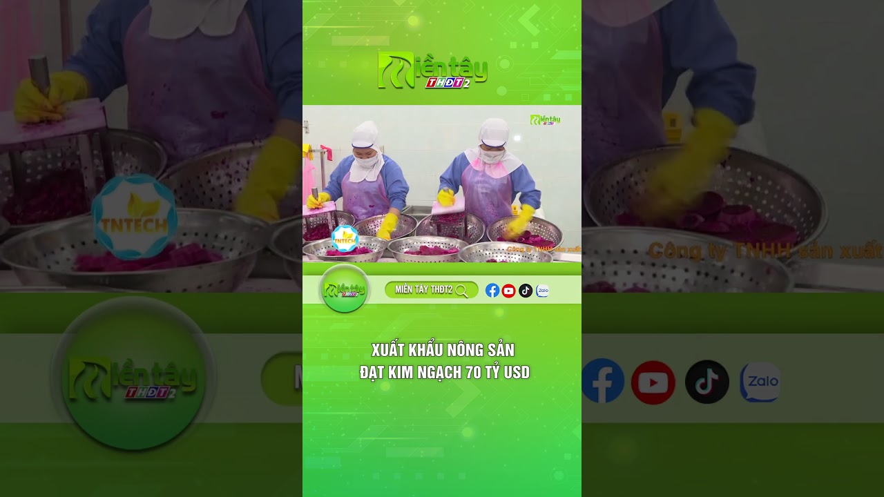 Xuất khẩu n&ocirc;ng sản đạt kim ngạch 70 tỷ USD #mientaythdt2 #truyenhinhdongthap #thdt2 #mientay #tintuc