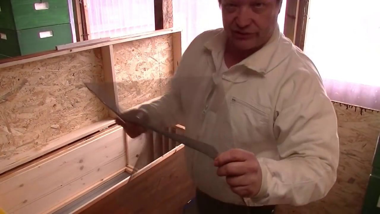 Ingo´s Bienen 42  (Die ZweiRaum Beute) März 2017