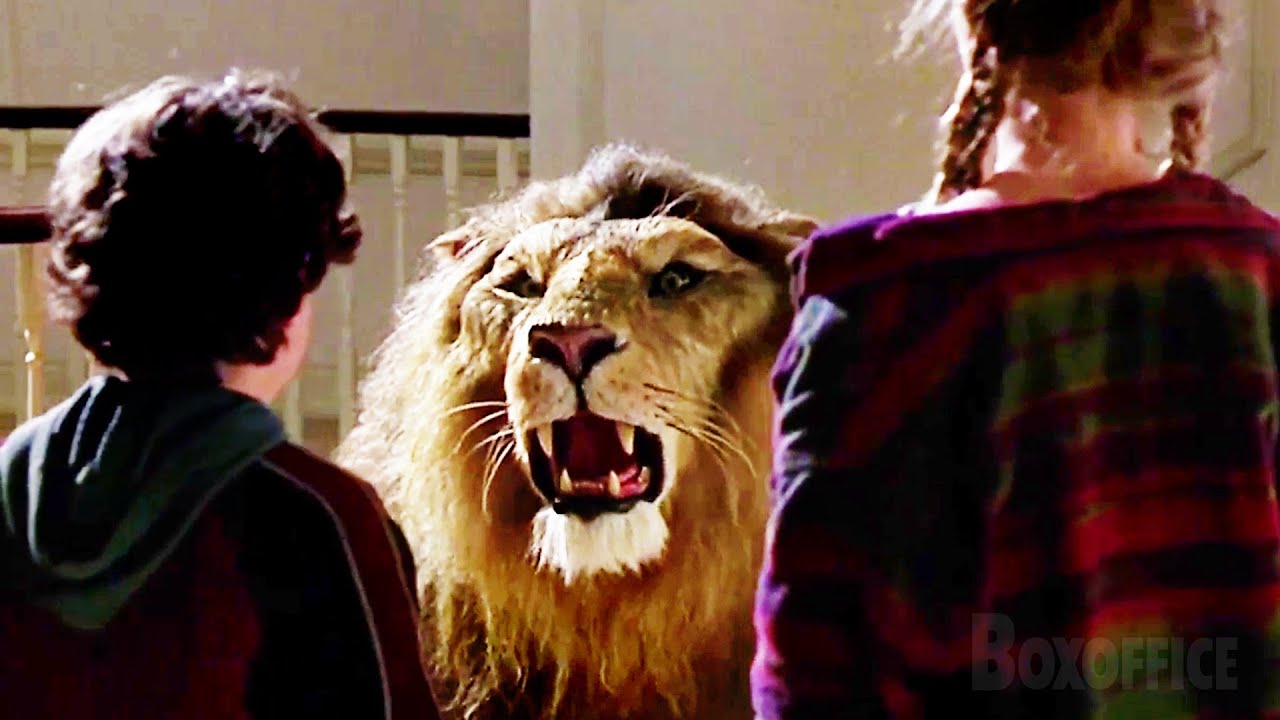 Il y a un lion dans la maison !