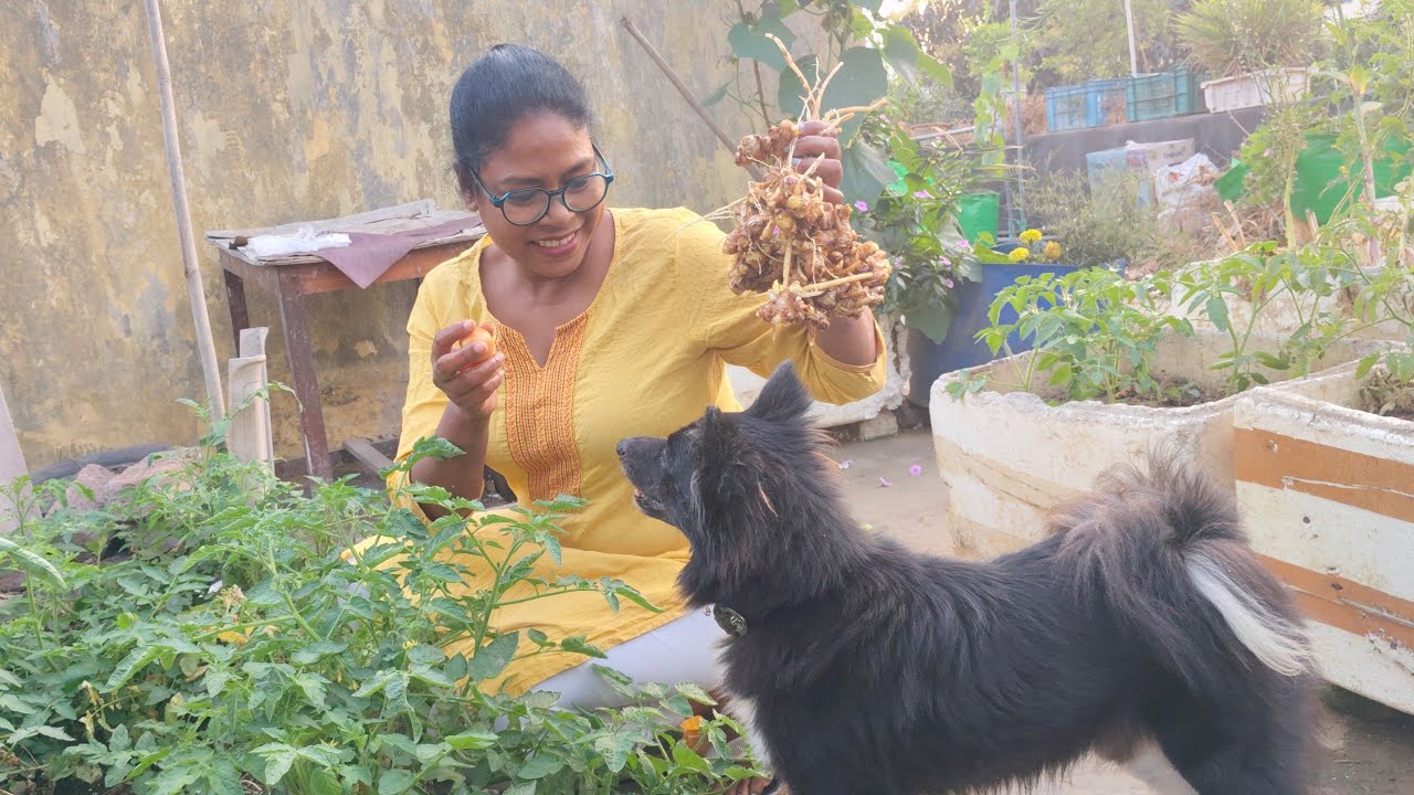MOM & KIDDO लाइव है!