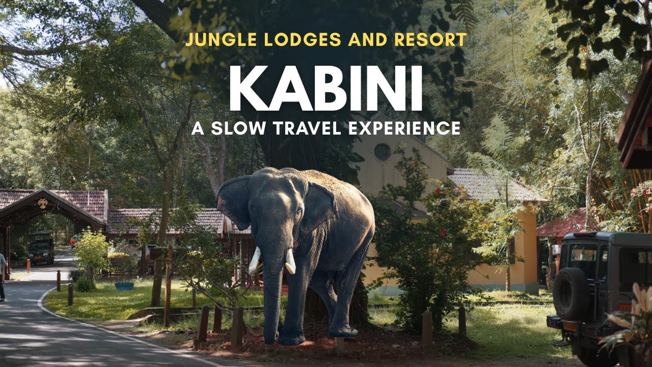 The Kabini Immersion: A 24-Hour Slow Travel Experience with Jungle Lodges and Resort
