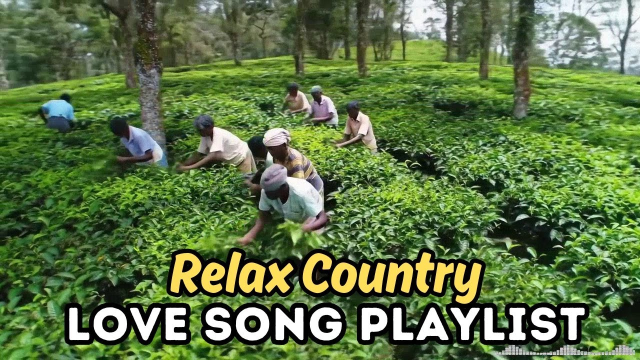 Country for the Open Road Unforgettable Country Roads | Midnight Interstate Mix