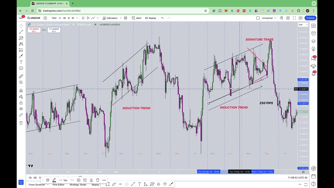 Catch 250+ PIPS per WEEK using #SignatureTrade Strategy on USDZAR