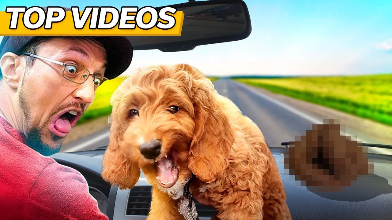 Most HILARIOUS FAMILY ROAD TRIP Moments! | FV Family Top Videos
