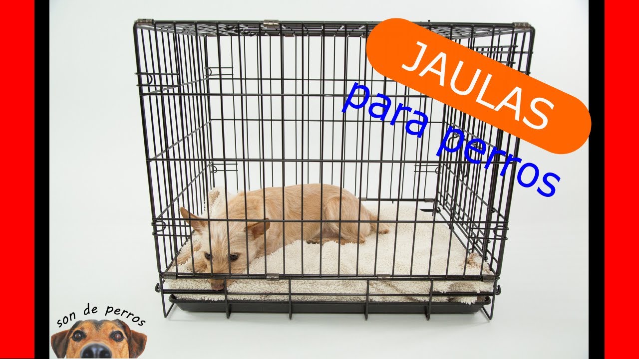 ✅🐶Las 5 mejores opciones de JAULAS Y CORRALES  para perros🐕🔥