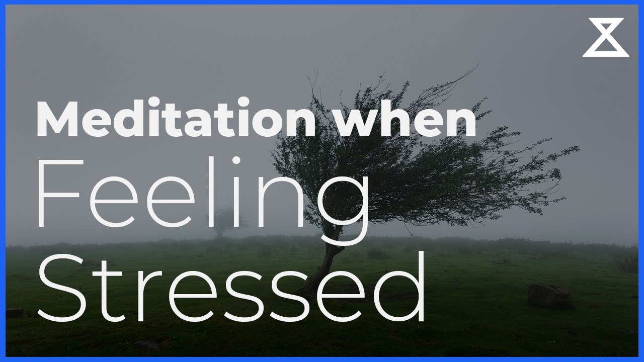 Guided Meditation When You're Feeling Stressed (Settle The Mind Quickly)