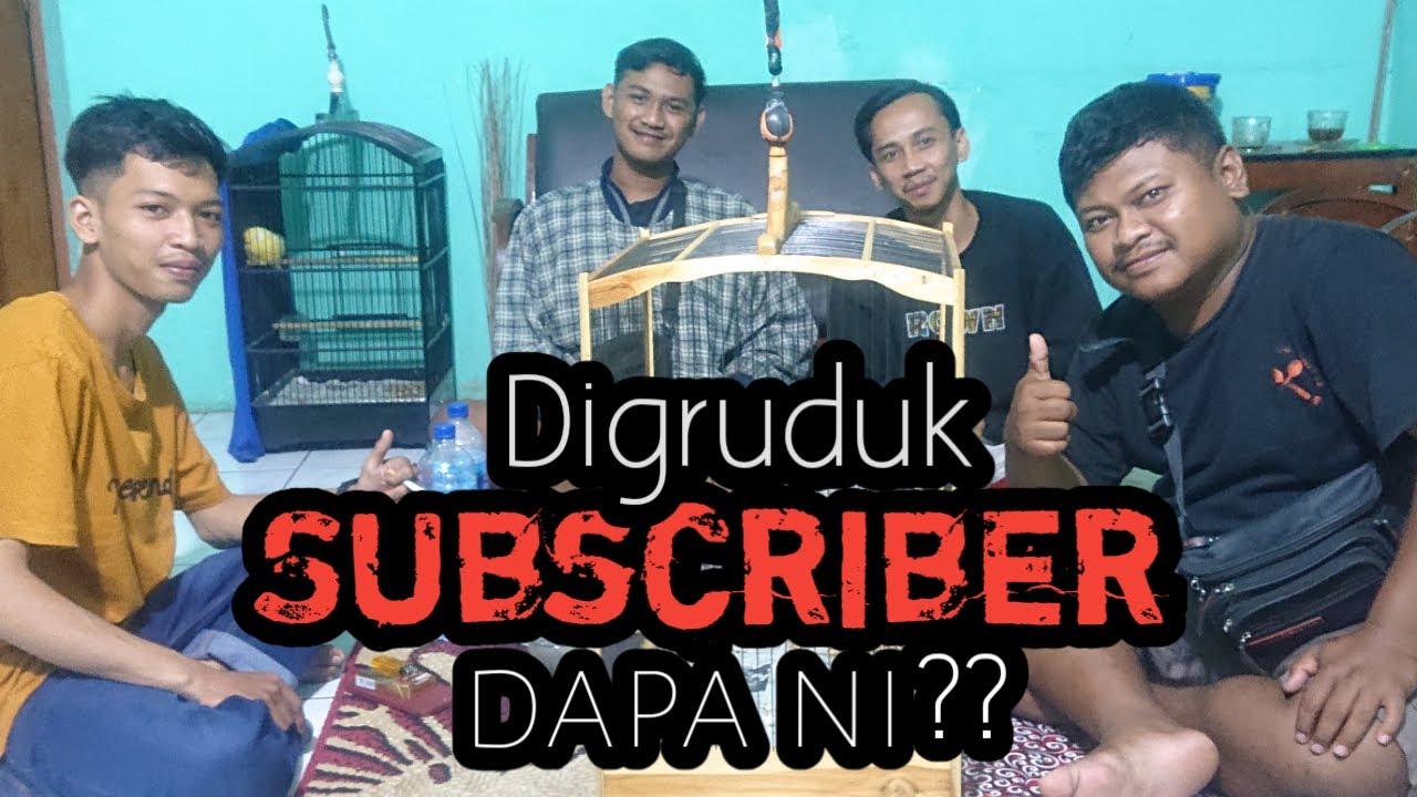 Kenari Birahi Masih Pada Bingung?? Sini Sungkem Suhu