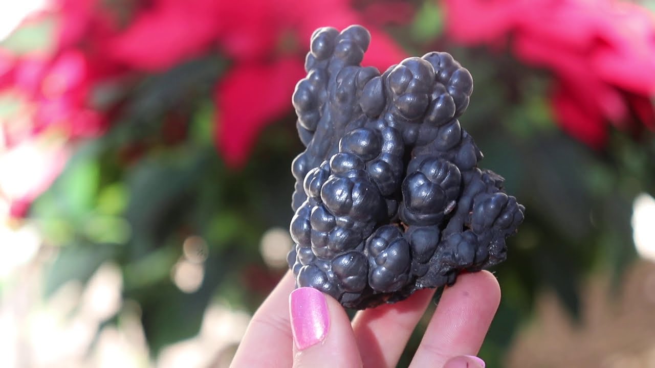 233827803801 Metallic Black Botryoidal Bubbles Of Psilomelane From Morocco - Merlinite