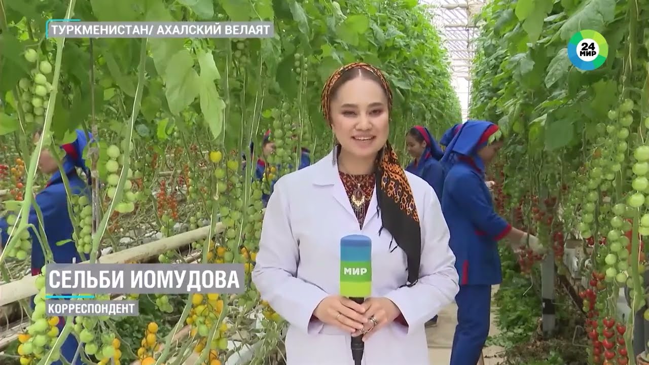 Погода в Туркменистане: Зимний урожай