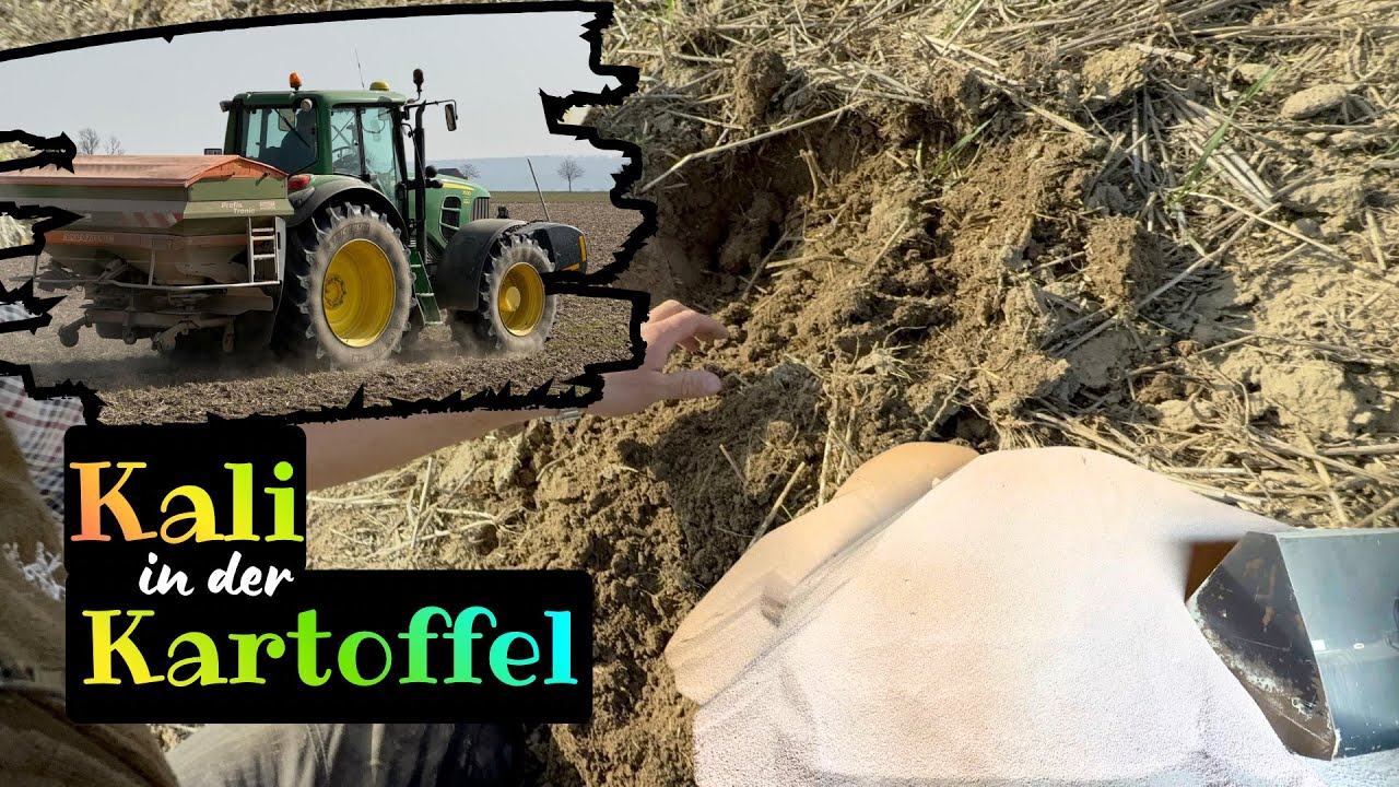 Das Frühjahr ist da!! „Grunddüngerzeit“ Thema Kali!🚜💨🥔 #ackerbau #pflanzenbau #kartoffeln 