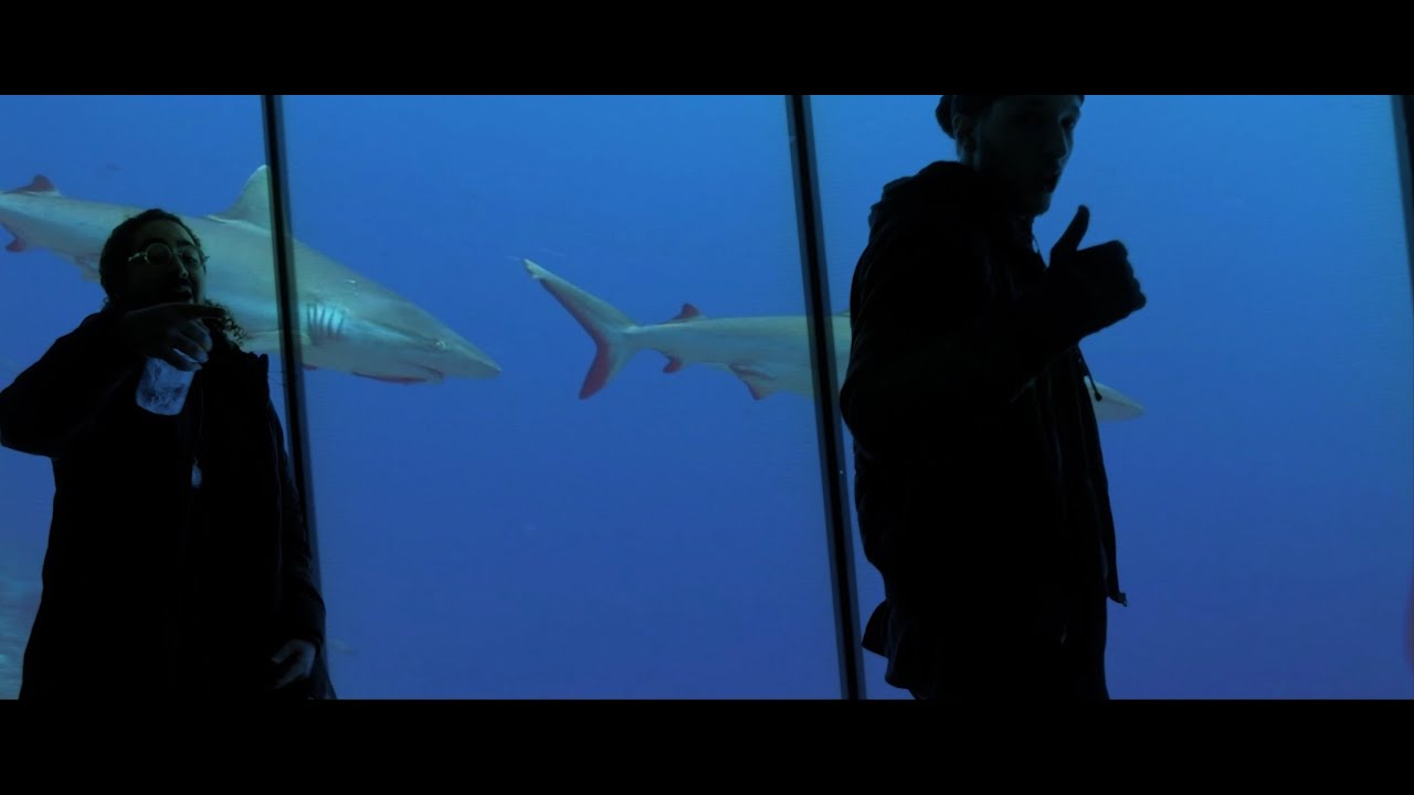 TBRW & Feli ciano - Flip it like a Dolphin (Official Music Video) prod. by TBRW & VJBEVTZ