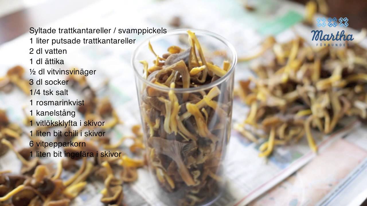 Plocka och sylta trattkantareller