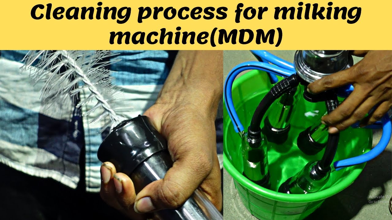 Cleaning steps for milking machine | milking machines | milking machine low price -call-9345051010