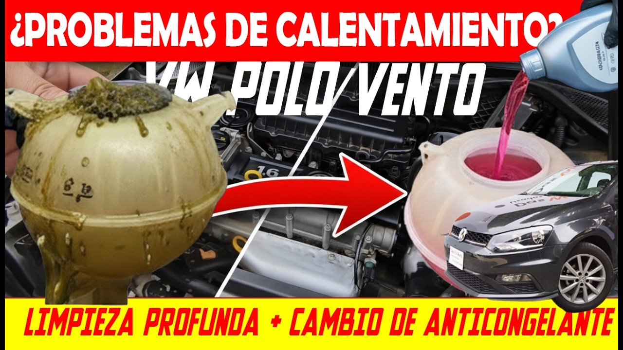 ✅Como En La AGENCIA: Cómo Cambiar Anticongelante | VW Polo Vento Limpieza y Purga Real Paso a Paso