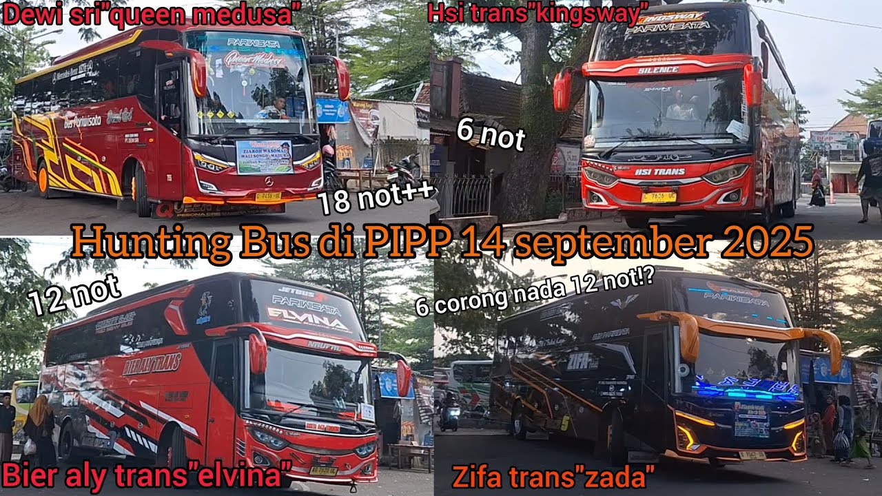 Hunting Bus basuri di PIP 14 september 2025.full basuri!!ketemu artis!!