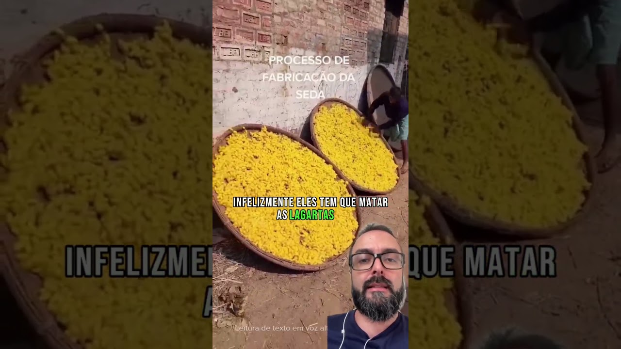 Processo de Fabrica&ccedil;&atilde;o da Seda